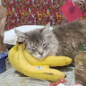 Meet your Posher, Tara